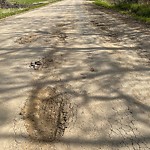 Potholes at 6510 17 Street SW