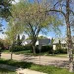 Overgrown Trees - Public Property at 7711 76 Ave NW