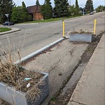 Noxious Weeds - Public Property at 2803 117 Street NW