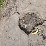 Potholes at 8303 36 Ave Nw, Edmonton T6 K 0 C9