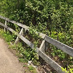 Shared Use Path - Walk/Bike/Run/Scoot/Blade at 10145 34 Street NW