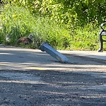 Shared Use Path - Walk/Bike/Run/Scoot/Blade at 9 Wedgewood Crescent NW