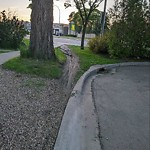 Shared Use Path at 8017 112 S Avenue NW