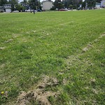 Sports Field Maintenance at 12323 51 Avenue NW
