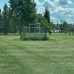 Sports Field Maintenance at 10504 176 Avenue NW