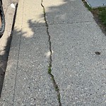 Sidewalk Concern at 1816 48 Street NW