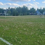 Sports Field Maintenance at 1730 Mill Woods Road East NW