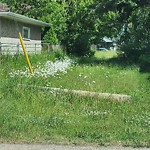 Park Grass Maintenance at 10434 50 Street NW