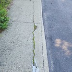 Sidewalk Concern at 4215 147 Street NW