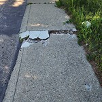 Sidewalk Concern at N53.48 E113.57