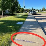 Sidewalk Concern at 1666 Forbes Way NW