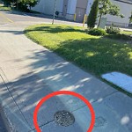 Sidewalk Concern at 1668 Forbes Way NW