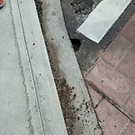 Potholes at 10901 57 Avenue NW