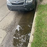 Pooling water due to Depression on Road at 4009 117 Avenue NW