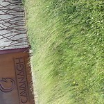 Noxious Weeds - Public Property at 2119 Cavanagh Dr Sw, Edmonton T6 W 3 X4