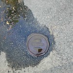 Pooling water due to Depression on Road at 9323 146 St Nw, Edmonton, Ab T5 R 0 W4, Canada