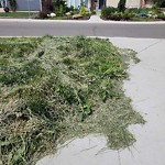 Park Grass Maintenance at 11216 49 Avenue NW