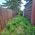 Park Grass Maintenance at 4947 17 Avenue NW