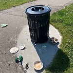 Overflowing Garbage Cans at 503 Hodgson Road NW