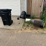 Overflowing Garbage Cans at 2318 28 A Avenue NW