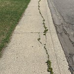 Sidewalk Concern at 11452 38 Avenue NW