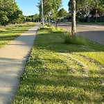 Park Grass Maintenance at 4017 44 Street NW