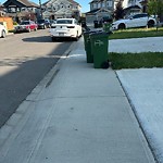Obstruction - Public Road/Walkway at 4851 Alwood Point SW
