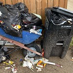 Overflowing Garbage Cans at 4116 19 Avenue NW