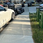 Overflowing Garbage Cans at 4849 Alwood Point SW