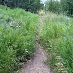 Park Grass Maintenance at 7004 Mcintyre Road NW