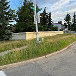 Noxious Weeds - Public Property at 10463 26 Avenue NW