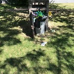 Overflowing Garbage Cans at 8728 93 Avenue NW