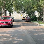 Overgrown Trees - Public Property at 12420 87 Street NW