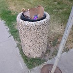Overflowing Garbage Cans at 16715 100 Avenue NW