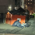 Overflowing Garbage Cans at 10169 104 Street NW