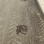 Potholes at 10739 Hardisty Dr Nw, Edmonton T6 A 3 V1