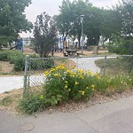 Noxious Weeds - Public Property at 12510 75 Street NW