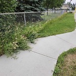 Park Grass Maintenance at 16704 97 Avenue NW