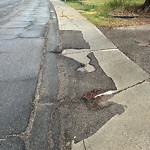 Potholes at 8704 135 Avenue NW