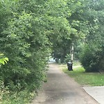 Overgrown Trees - Public Property at 10209 88 St NW
