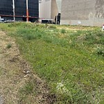 Noxious Weeds - Public Property at 10524 100 Avenue NW