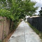 Shared Use Path at 9812 169 Avenue NW