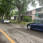 Tree/Branch Damage - Public Property at 9751 83 Avenue NW