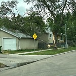 Tree/Branch Damage - Public Property at 10535 76 Avenue NW