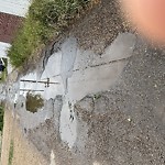 Potholes at 9639 109 A Ave NW