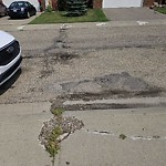 Sidewalk Concern at N53.46 E113.53