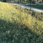 Park Grass Maintenance at 11220 University Avenue NW