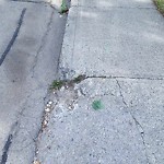 Sidewalk Concern at N53.51 E113.62