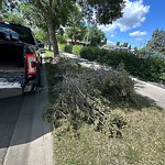 Obstruction - Public Road/Walkway at 14311 Mcqueen Road NW