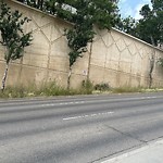 Noxious Weeds - Public Property at 9807 105 Street NW